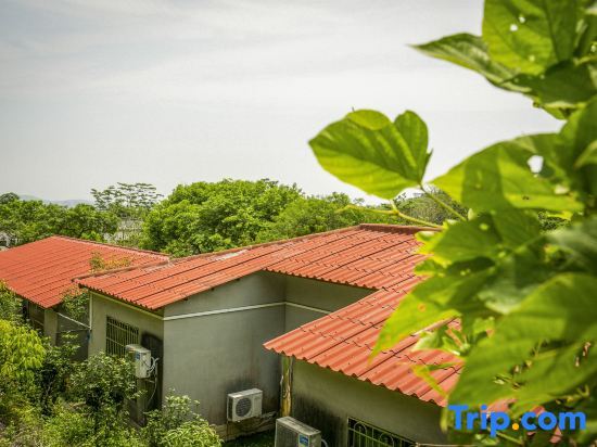Хойчжоу: Modong Orchard Farmstay Boluo Luofu Moutain