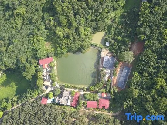 Хойчжоу: Modong Orchard Farmstay Boluo Luofu Moutain