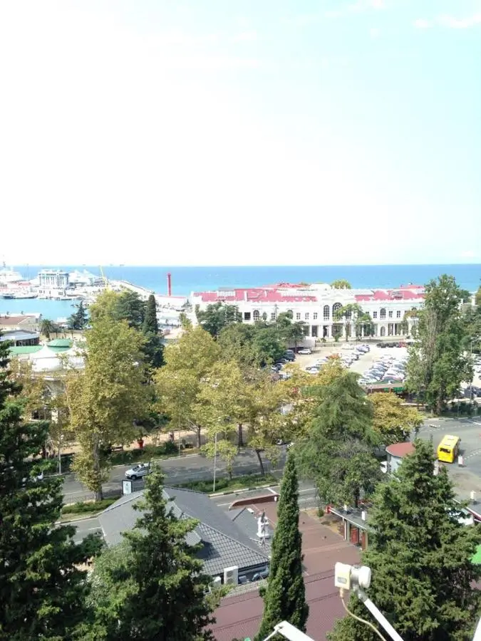 Сочи: Sochi Krivtsova Apartment