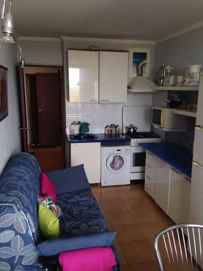 Сочи: Sochi Krivtsova Apartment