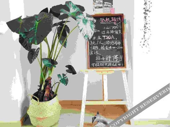 Куньмин: Xigui Xiaoyuan Youth Hostel