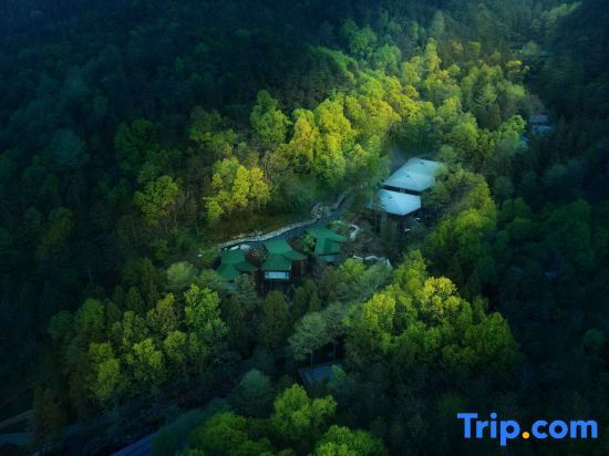 Нинбо: China Forest Nanyuan Clouds Stream
