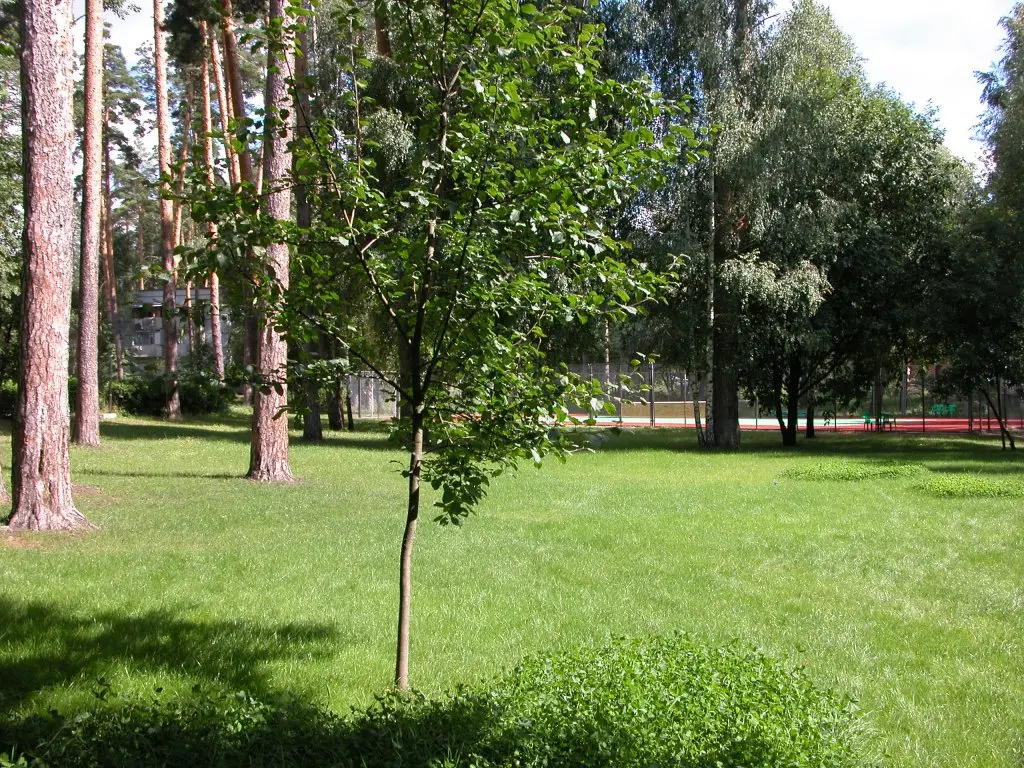 Пенза: Загородный гостиничный комплекс Серебряный бор