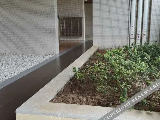 Гуанчжоу: Guangzhou Xintang borui International Apartment