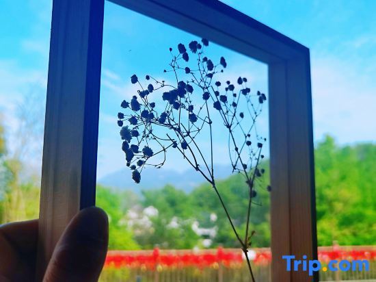 Чичжоу: Wujian Blossom House