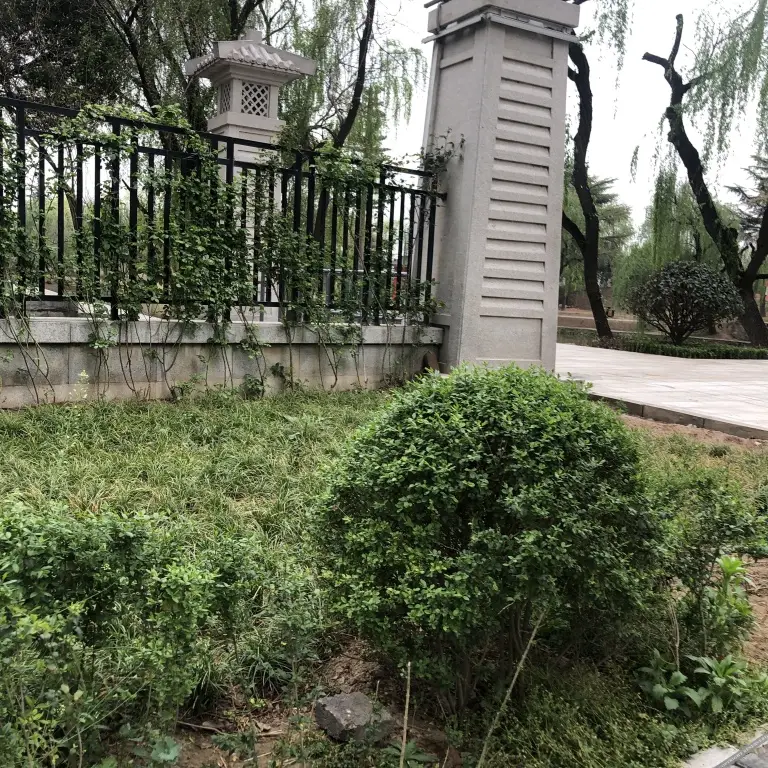 Сиань: 1314爱情连锁公寓(西安赛高店)