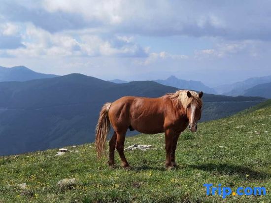 Синьчжоу: Wutai Mountain Tingxi Mountain Residence