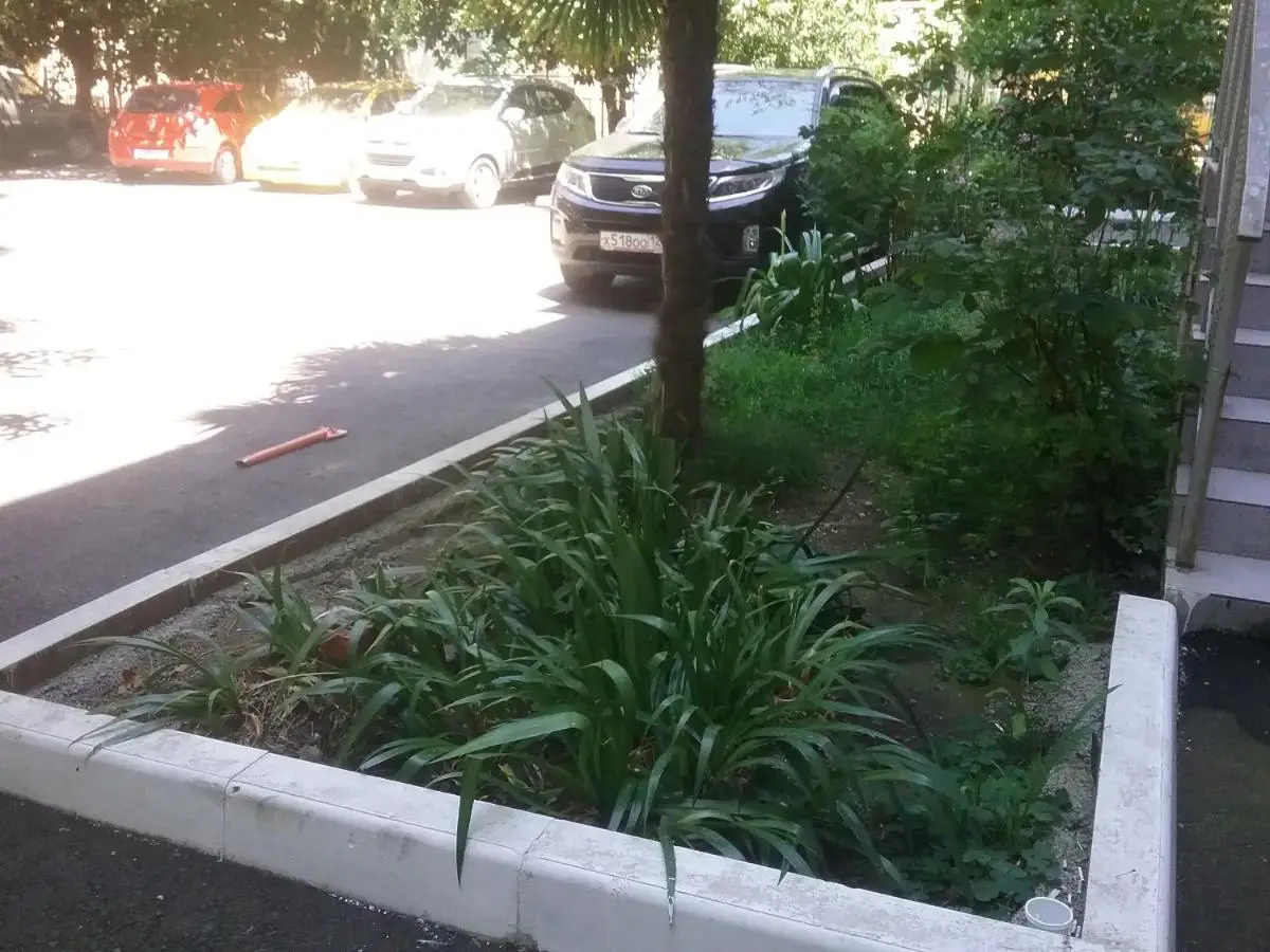 Сочи: Apartment Vorovskogo 49 у музея