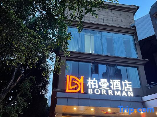 Borrman (Chongqing Bishan Qinggang) — фото 1