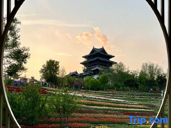 Пекин: Hyatt Place Beijing Shiyuan