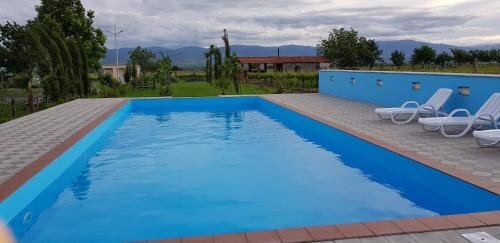 Кварели: Shaloshvili's Cellar Hotel