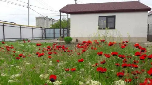 Будённовск: Guest House Na Svetloy