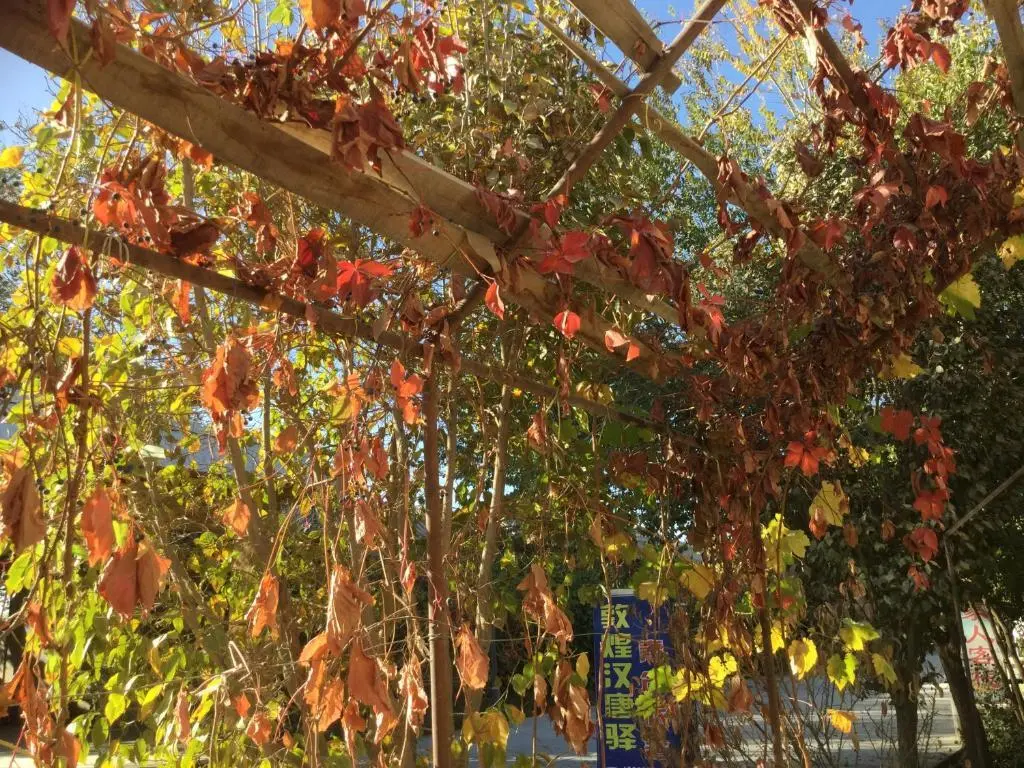 Цзюцюань: Dunhuang Han and Tang Dynasty Campsite