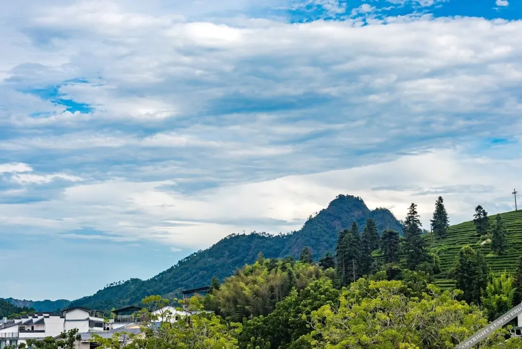 Уишань: Floral Building·Xincheng Mingyuan in Wuyi Mountain