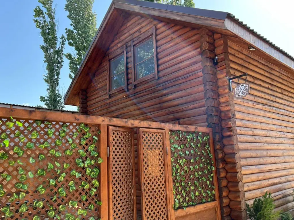Зелономорск: Hayat (Хаят)