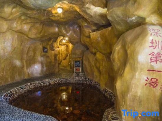 Шэньчжэнь: Vienna Hotel ( Guanlanhu station Shanshui Tianyuan)