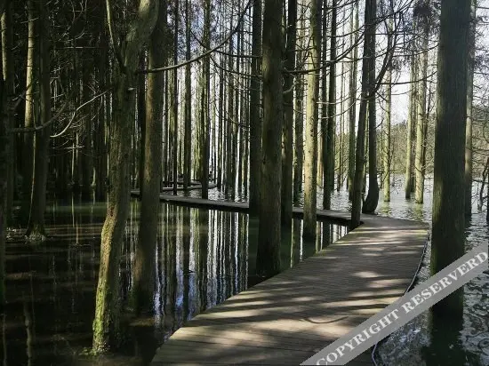Ичунь: Mengyue Resort