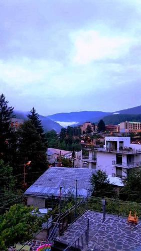 Боржоми: Qeta Guest House