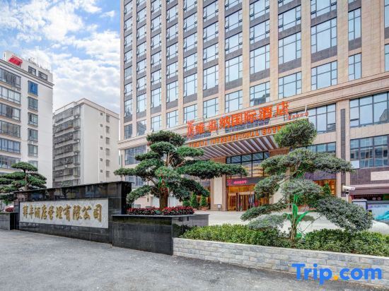 Vienna International Hotel (Gaozhou) — фото 1