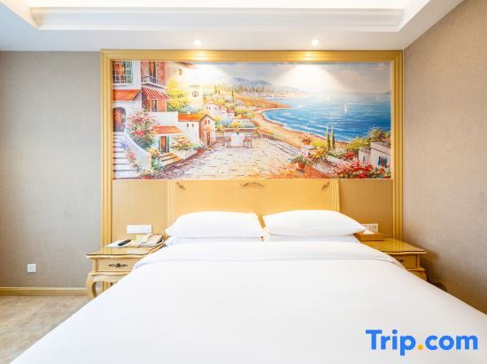 Чанша: Vienna Hotel Hunan Radio and Television International Convention and Exhibition Center