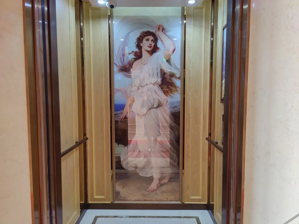 Чанша: Vienna International Hotel（Ecological Zoo store ）