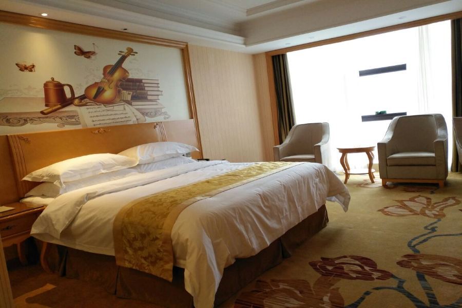 Чанша: Vienna International Hotel (Changsha Hongxing Desiqin Plaza)