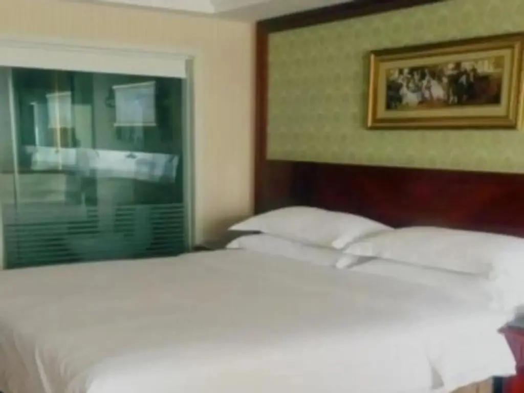 Чанша: Vienna Hotel (Changsha IFC Pedestrian Street Store)