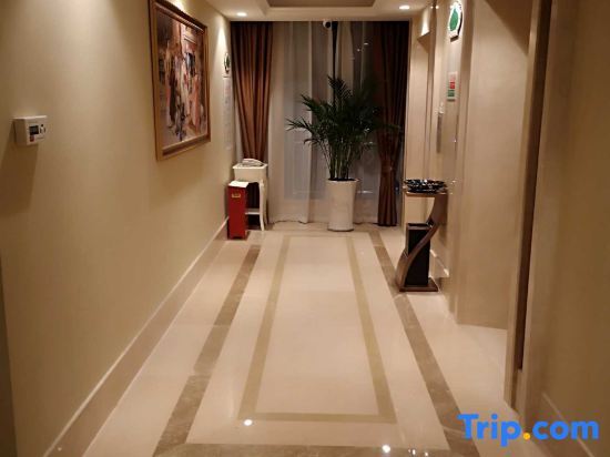 Чэньчжоу: Vienna International Hotel (Chenzhou Guoqing South Road)