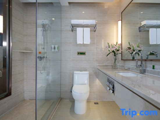 Тяньцзинь: Vienna International Hotel