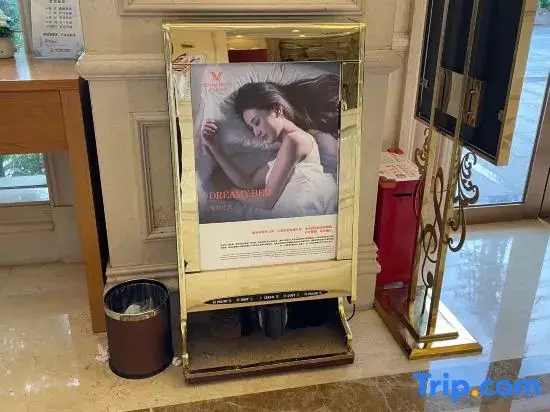 Дунгуань: Vienna Hotel (Dongguan Dalingshan baihuadong store)