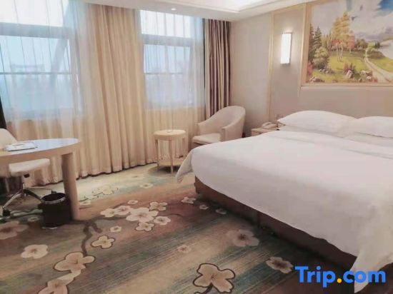 Наньтун: Vienna International Hotel (Qidong Jiangtian Ecological Park)