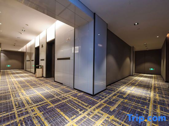 Чунцин: Tianyi Guobin Hotel