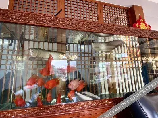 Шэньян: Hangcheng Hotel (Shenyang Taoxian Airport New Municipal Government Branch)