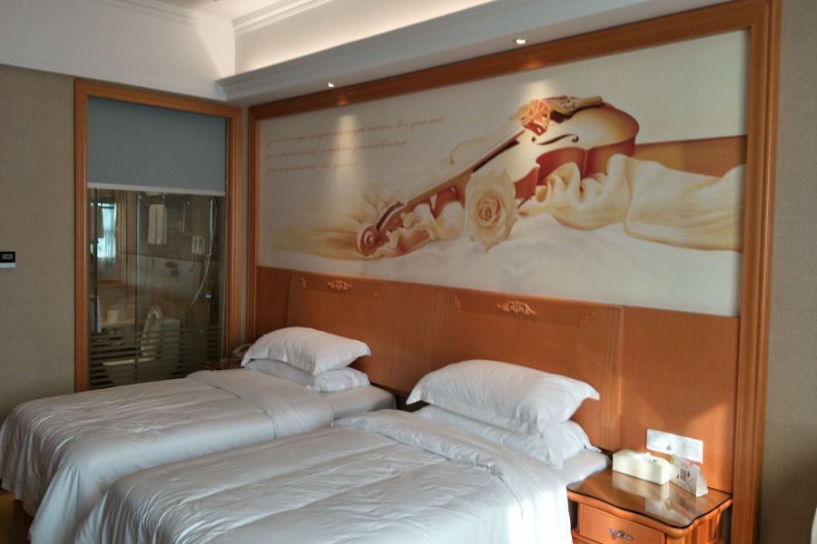 Шэньчжэнь: Vienna International Hotel Shen Zhen Buji Dafen shop