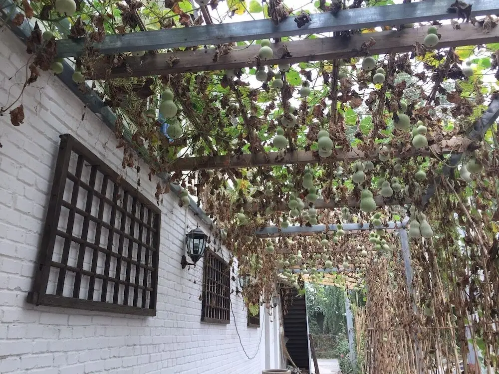 Manhong's Private Courtyard — фото 1