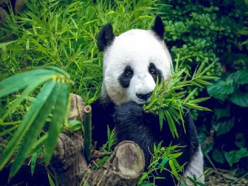 Гуанчжоу: Guangzhou Ramada Encore Hotel (Jiangnanxi Subway Station R&F Haizhu City Branch)