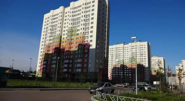Нижний Новгород: Цветы