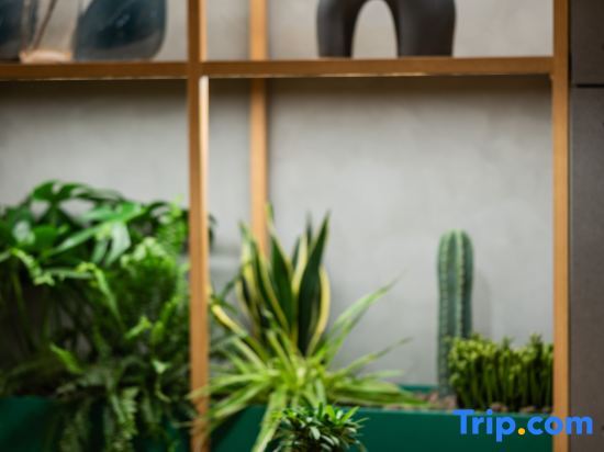 Пекин: True Go Hotel  (Beijing Zhongguancun)