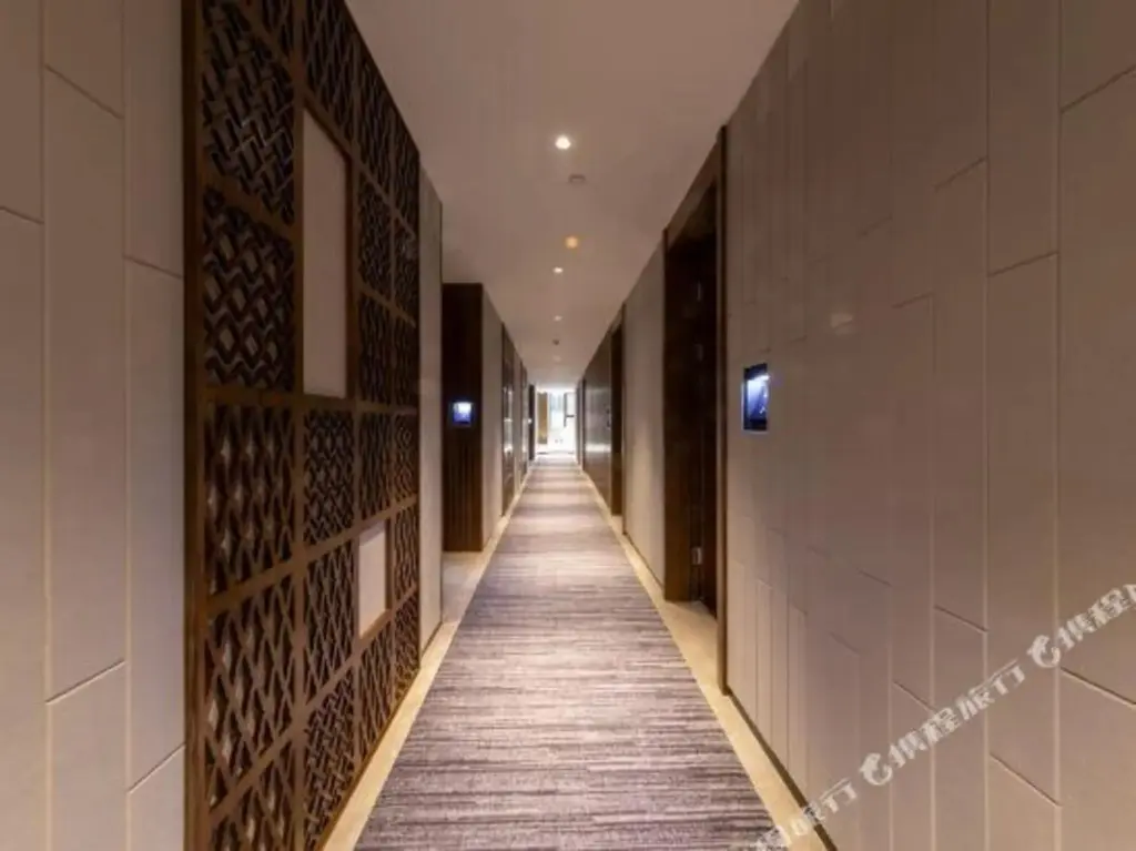 Гуанчжоу: TRUE GO Hotel (Guangzhou Talujiang Metro Station)