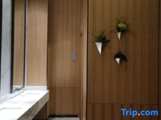 Хэчи: Borrman Hotel (Hechi Bama Center Cultural Plaza Store)