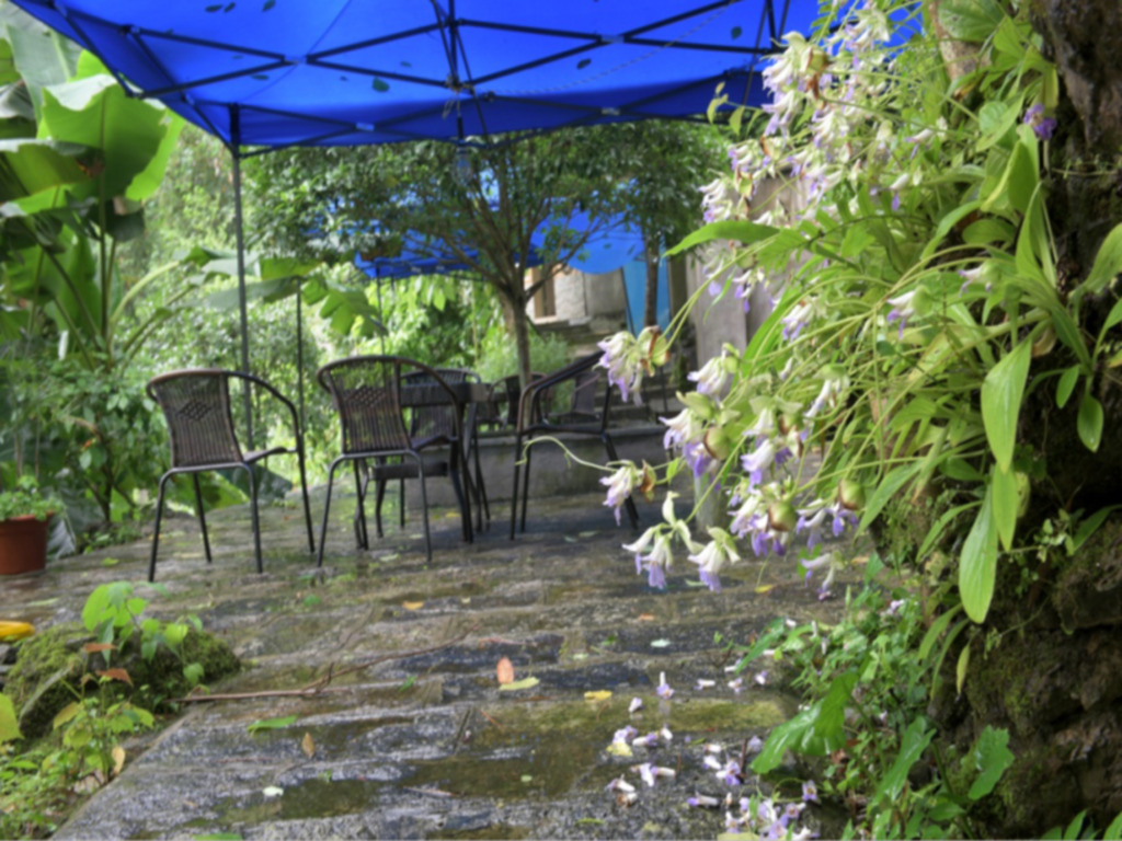 Яншо: Alley Mountain View Garden Hotel