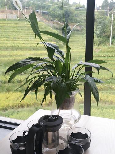 Longsheng: Longsheng Longji Puchuo Shengxiang Art Hotel