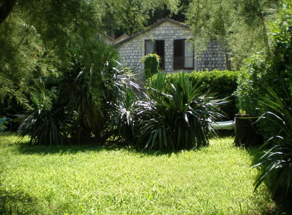 Доброта: Apartment Pinebreeze - Prčanj - Kotor