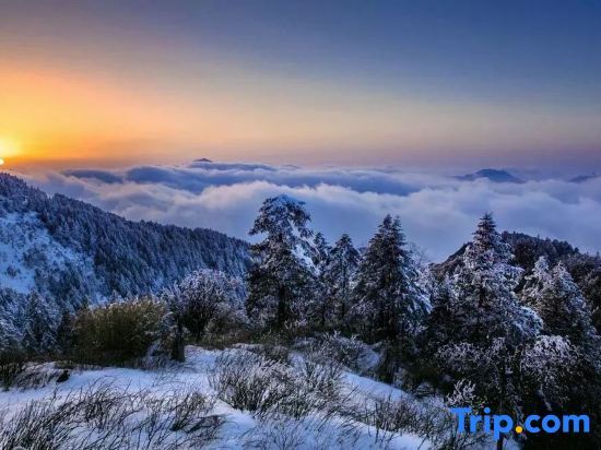 Мую: Shanshe · Shennongjia B&B (Muyu Town Store)