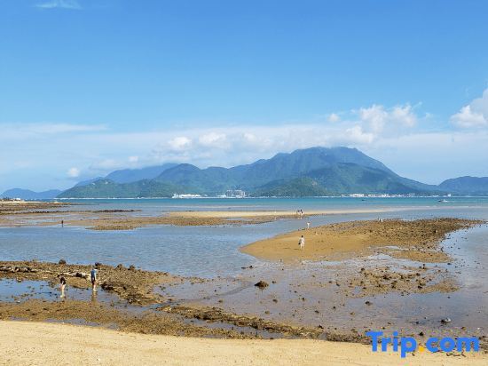 Шэньчжэнь: Shenzhen Meishe First-line Seaview Homestay (Jiaochangwei Branch)