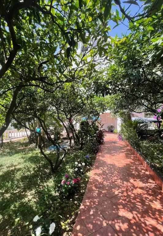 Бечичи: Apartmani Becici