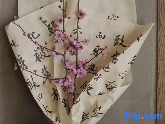 Хучжоу: Moganshan Hexi Guesthouse