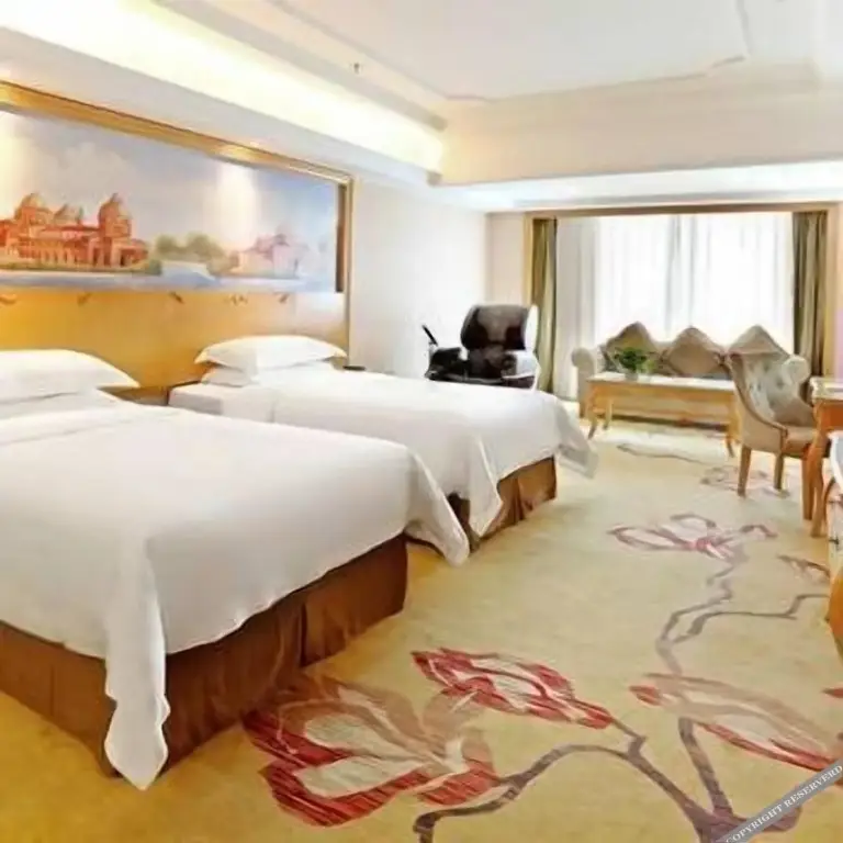 Чанша: Vienna International Hotel