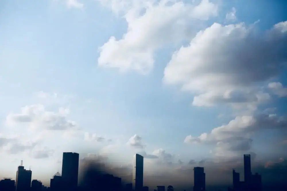 Шанхай: Shanghai Milu Home - Xiangyang South Road Branch