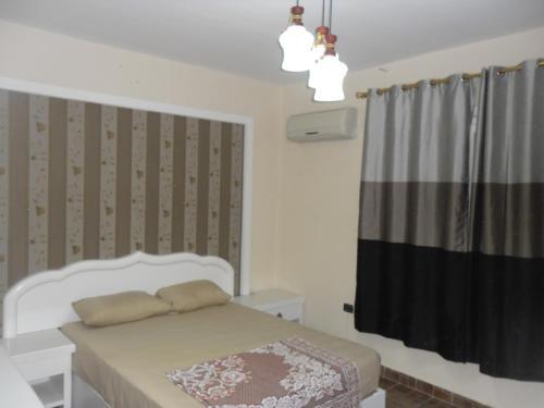 Каир: Apartment at Milsa Nasr City, Building No. 15